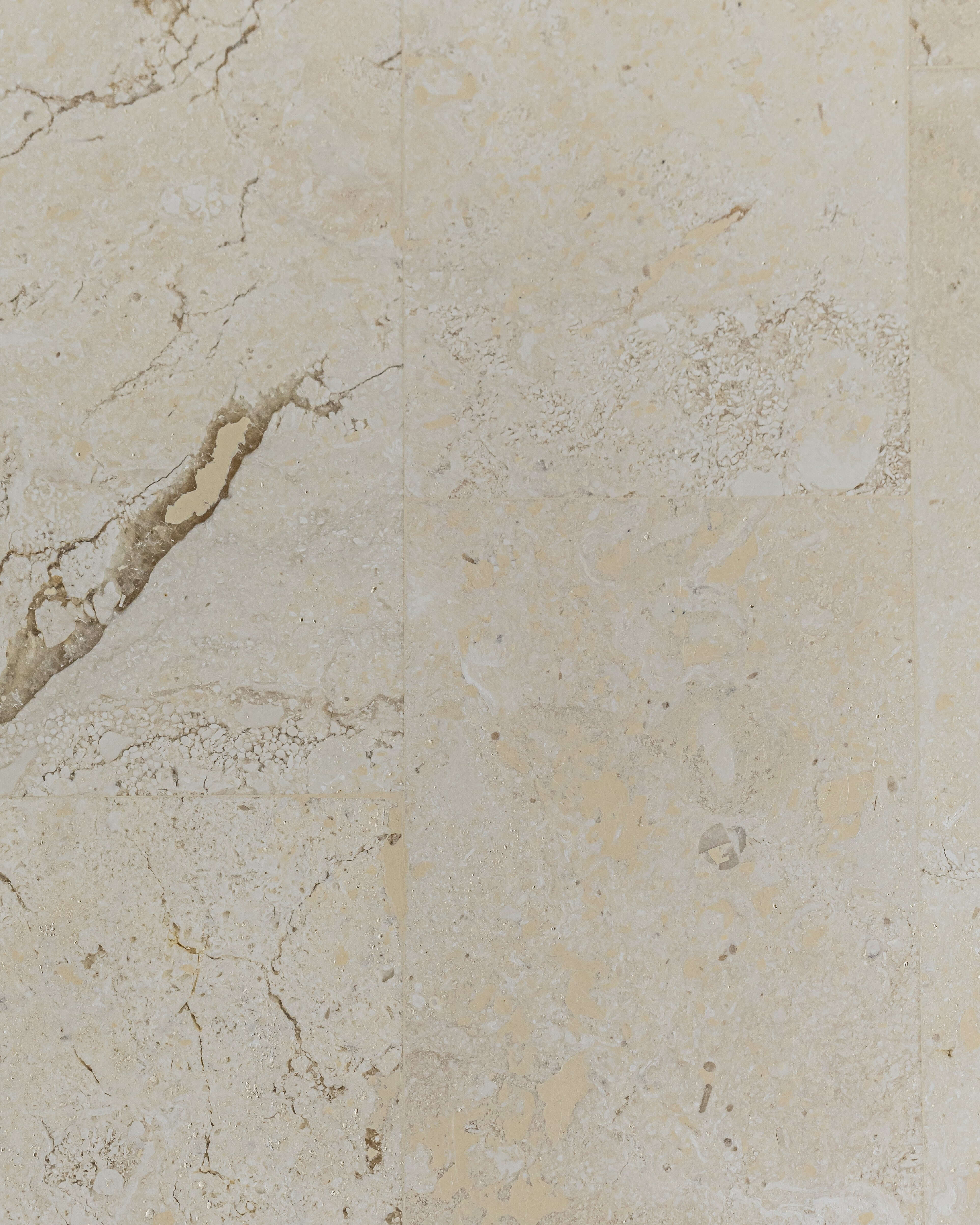 Mala Coffee Table | Natural White Fossil Stone - Image 8