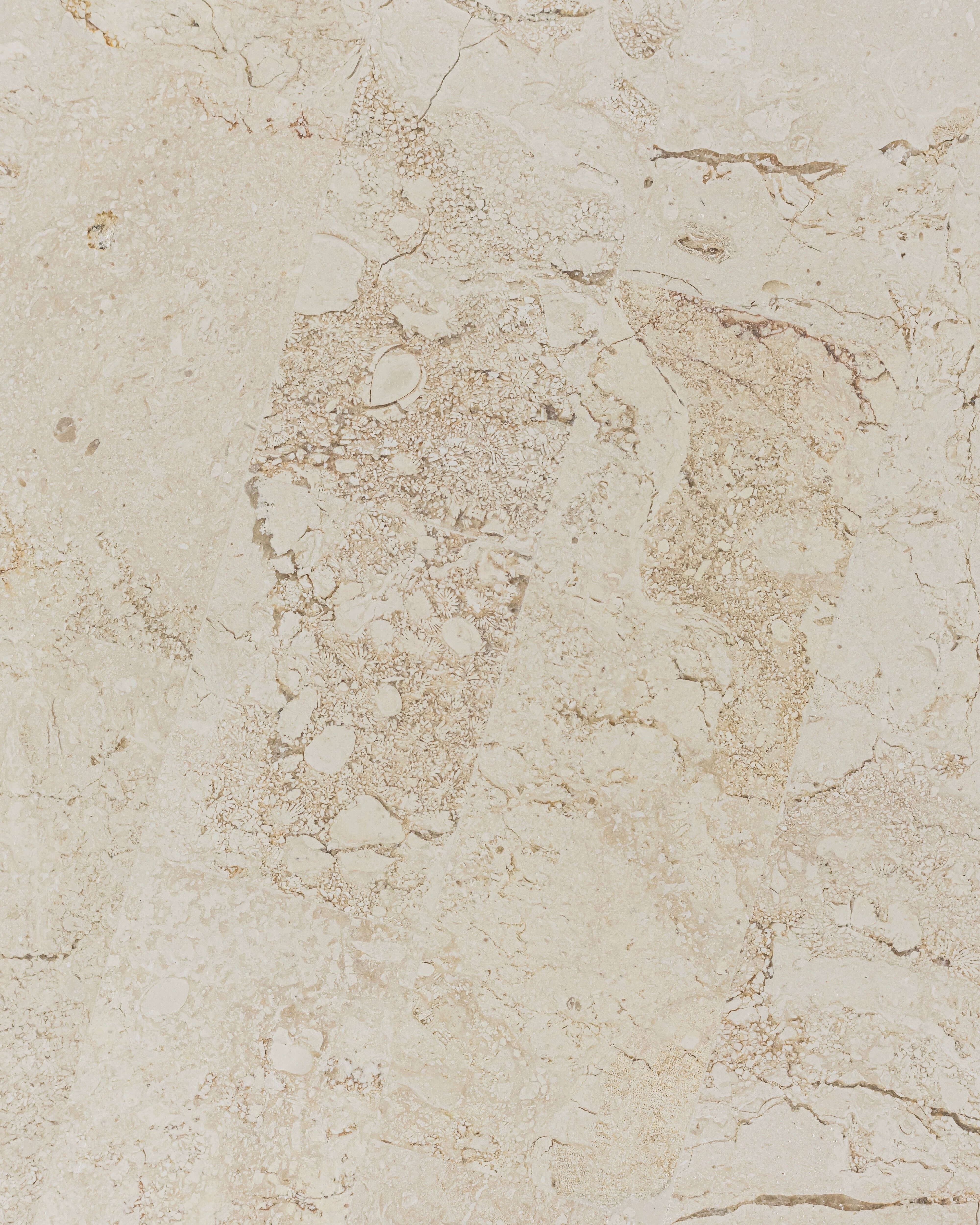 Mala Coffee Table | Natural White Fossil Stone - Image 9